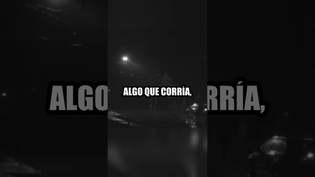 3 Historias De Terror Que No Te Dejaran Dormir#shortvideo #fypシ゚viral #4k #500subs смотреть онлайн