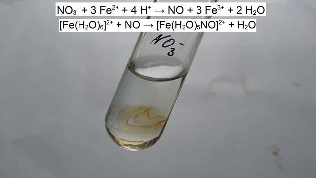 Nachweis von Nitrat смотреть онлайн