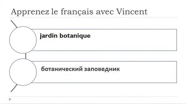 Изучение французского языка = сад смотреть онлайн