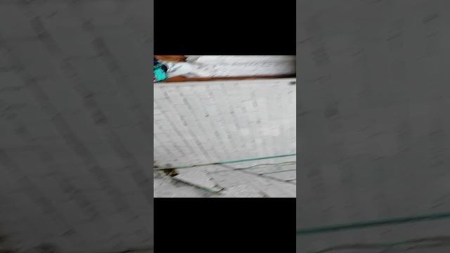 VID_20241113_123842.mp4 смотреть онлайн