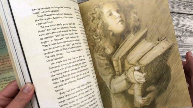 J.K.Rowling Harry Potter and the Chamber of Secrets. Scholastic, illustrated by Jim Kay. Обзор смотреть онлайн