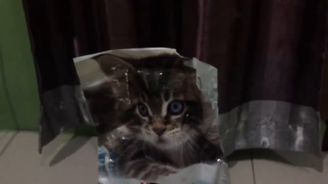 REVIEW MAKANAN PROPLAN KITTEN смотреть онлайн