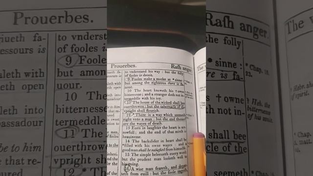 Proverbs 14:9 Fools make a mock at sin... смотреть онлайн