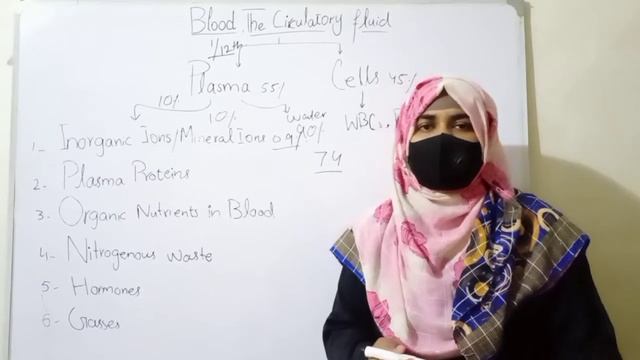 Blood Plasma | Class 11 Biology смотреть онлайн