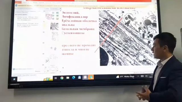 Erkaklar Jinsiy Sistemasi Gistologiyasi