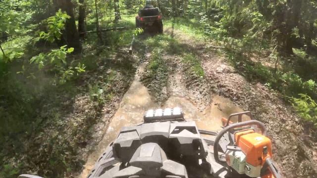 Квадропокатушки. Чистим лес. 🌳