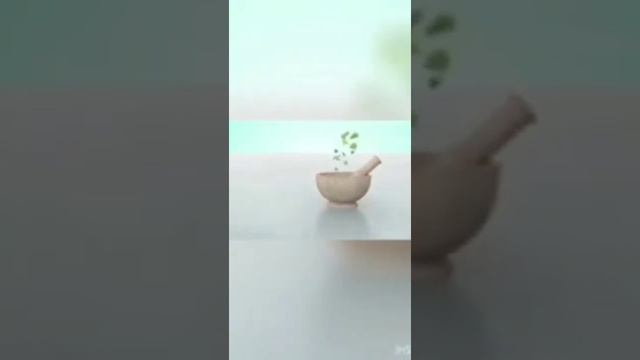 Новая Зубная паста смотреть онлайн