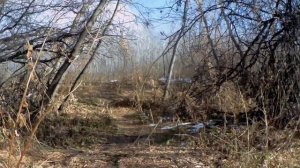 Исеть, октябрь 2024 Crystal Secret  - Magic Water (2019)