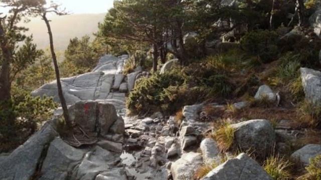 8 Скандинавия. Прекускулен Lg