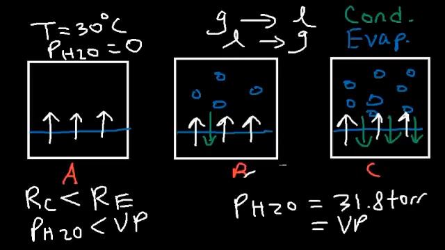 Relative Humidity - Dew Point, Vapor & Partial Pressure, Evaporation, Condensation - Physics смотреть онлайн