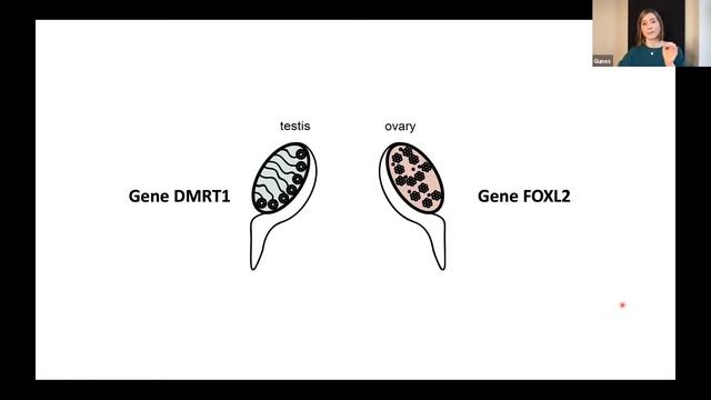 Data + Women London - 16 March 2021 смотреть онлайн
