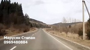 Закарпатські коломийки. Жартівлива коломийка, дорогами карпат, музика в дорогу