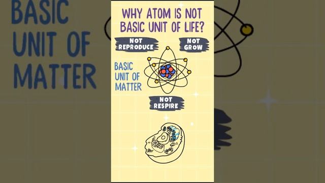 Why are cells, not atoms, the basic units of life? #short смотреть онлайн