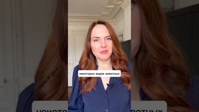 Как называть детенышей животных? смотреть онлайн