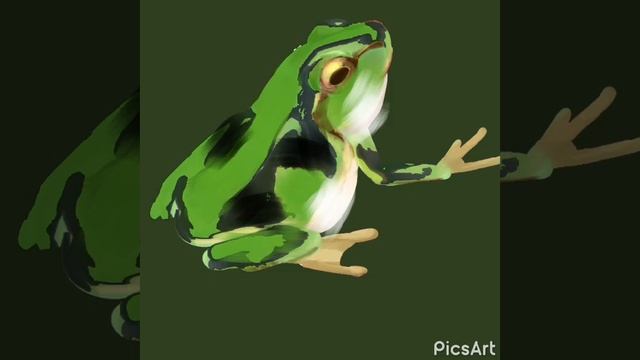 Animation Is On Frog,,@naturak Beauty And Poem