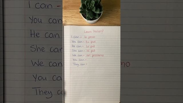 Learn Italian 🇮🇹 - Il verbo “potere” смотреть онлайн