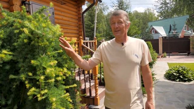 ОБЗОР САДА БЕЗ ГРЯДОК. Современный участок. Сад для души. смотреть онлайн