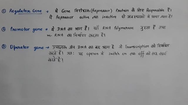 Operon model || class 12 смотреть онлайн