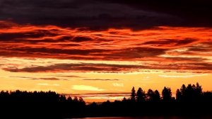 Никогда не возвращайся в прежние места.  Геннадий Шпаликов