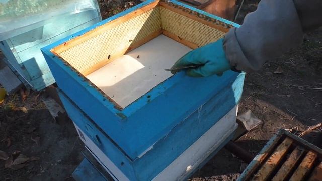 Объединяю облётники, подсиливаю слабачков (22.10.2021) смотреть онлайн