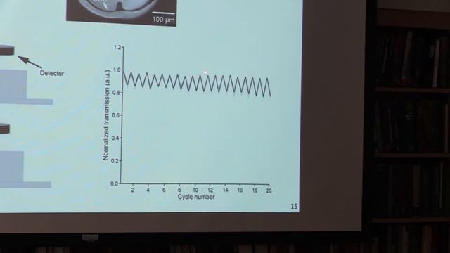 Ulrich Froriep, Ph.D.: Fiber-based probes for long term interrogation of neural circuits смотреть онлайн