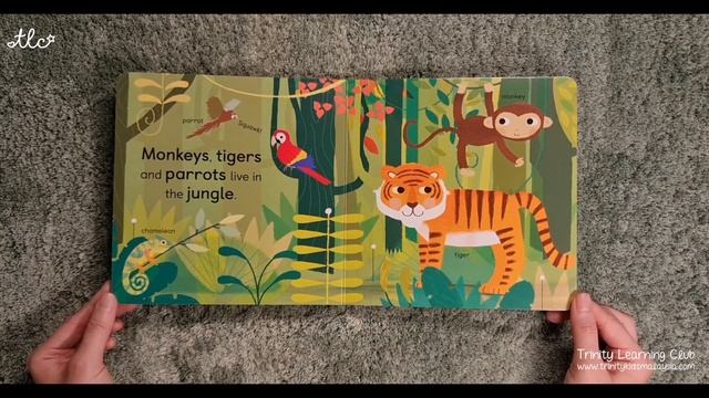 Zoology For Babies｜A Baby 101