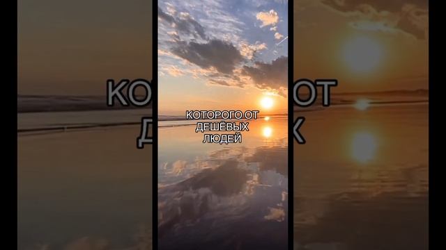 Честность и верность #мудрость #мудрыецитаты #цитаты #ecowisdom смотреть онлайн