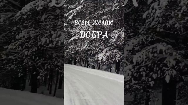 Кленовой мысли к песне "Было и прошло"#музыка #смыслжизни #отношения #жизнь смотреть онлайн