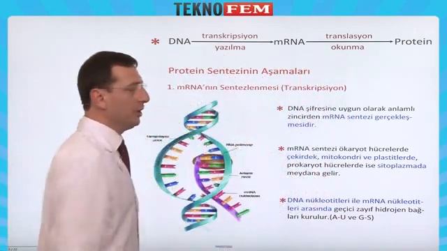 Teknofem Biyoloji