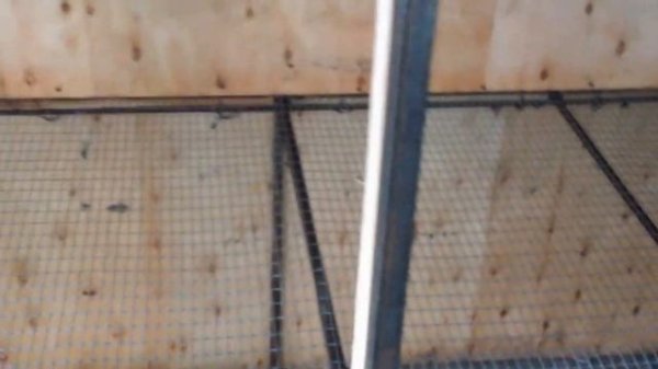 Подготовка сарая к содержанию бройлеров