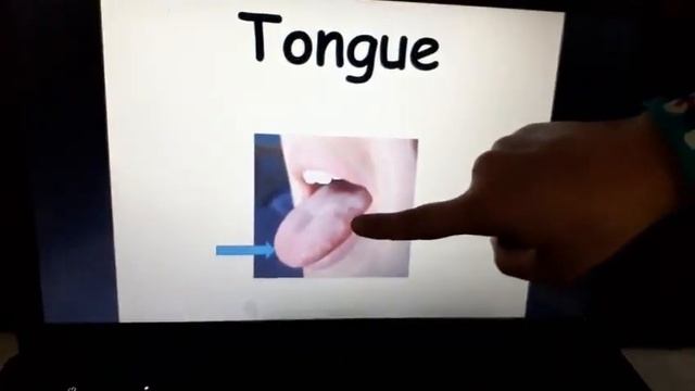Introduction of body parts- Pre-Nursery смотреть онлайн