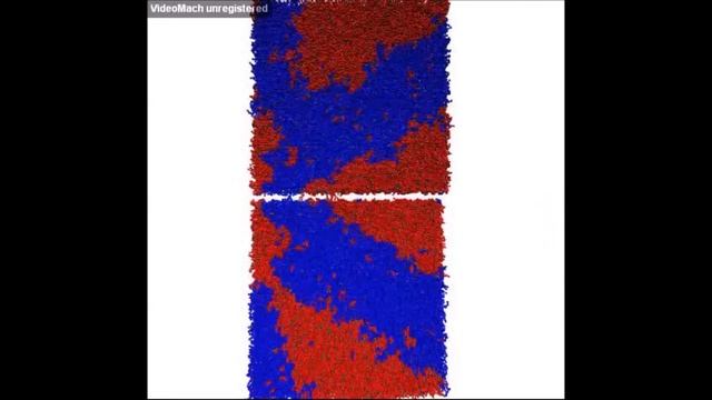 Phase Separation in Lipid Bilayers: Macroscopic Phase Separation in CG Molecular Dynamics смотреть онлайн
