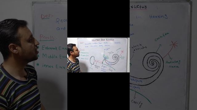 Human Ear structure/Short | YouTube short| Raees Biology смотреть онлайн