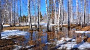 кавер-проект "Под созвездием Тельца", дуэт сестричек