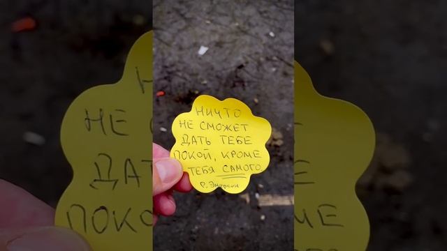 😉#спокойствие #камлеш #эмоции #покой #жизнь #философия #психология #счастье #радость #мудрость смотреть онлайн