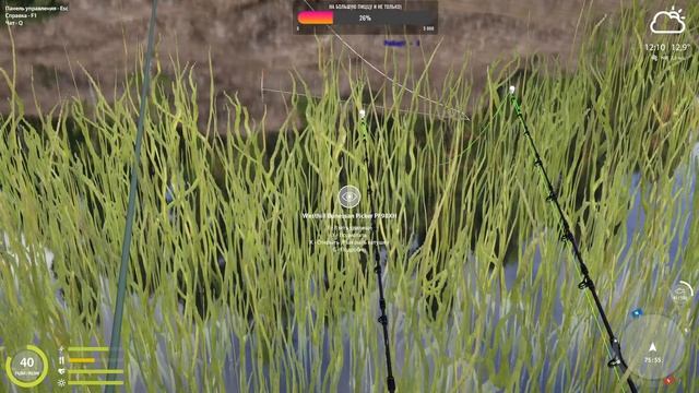 Русская рыбалка 4 . 18+🔥 В поисках трофеев) Общение) половим кого нибудь) смотреть онлайн