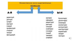 ЕГЭ МНОЖЕСТВЕННОЕ ЧИСЛО ЗАДАНИЕ 7