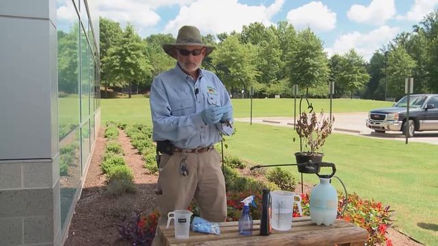 Mixing Pesticide - This Week In the Garden смотреть онлайн