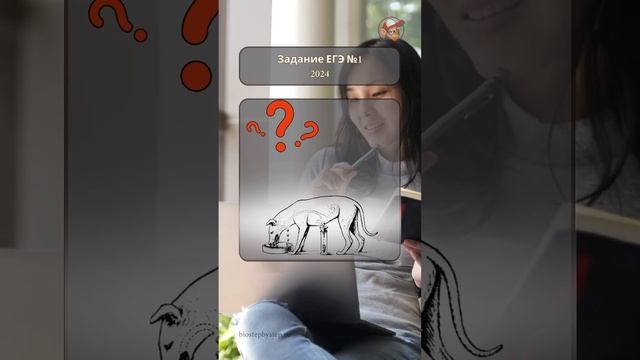 БИОЛОГИЯ ЕГЭ 2024 | Задание №1