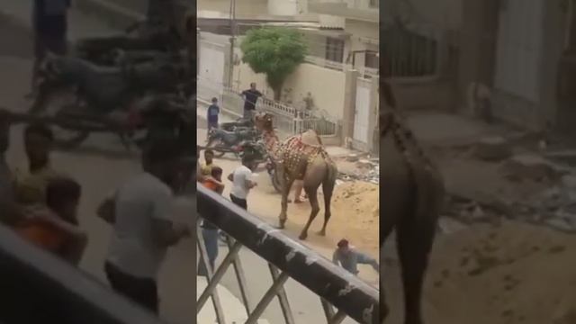 Aí, parece que doeu🇧🇷| смотреть онлайн