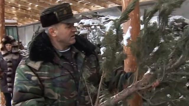Купить или срубить смотреть онлайн