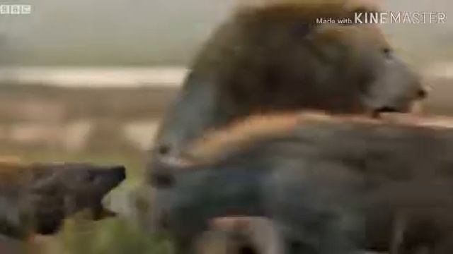 1 июля 2019 г. смотреть онлайн