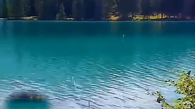 Природа - Мир нашей души смотреть онлайн