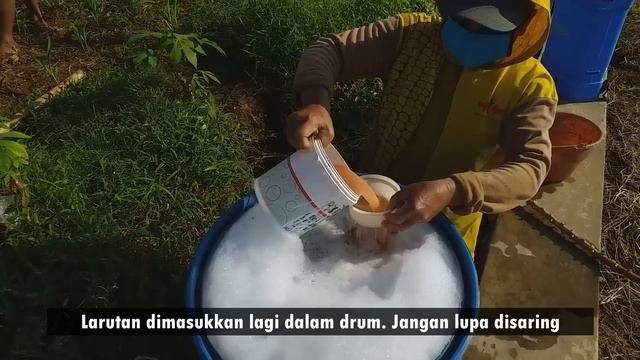 SOLUSI PUPUK MAHAL‼ 1 HEKTAR CUKUP PAKE NPK 1 KG AJA. смотреть онлайн
