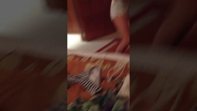 Копия видео IMG2682 смотреть онлайн