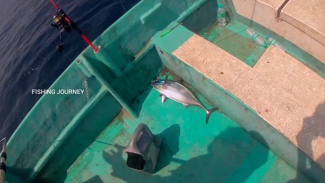 Back to Shore With Trolling Catch Tuna Fish Sea Fishing смотреть онлайн