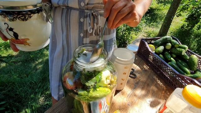 Как приготовить полезные огурцы на зиму. Очень быстрый и легкий рецепт