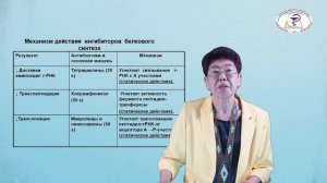 Лекция «Антибиотики»