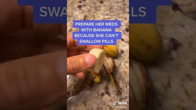 Period Husband Care For Wife: Is Your Man Doing This? #periodpain #periodpainrelief смотреть онлайн
