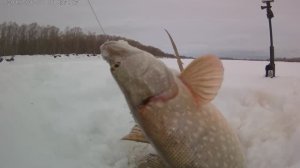 Зимняя рыбалка в Сибири 3